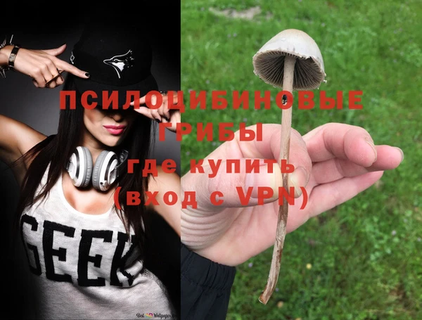 ГАЛЛЮЦИНОГЕННЫЕ ГРИБЫ Нефтегорск