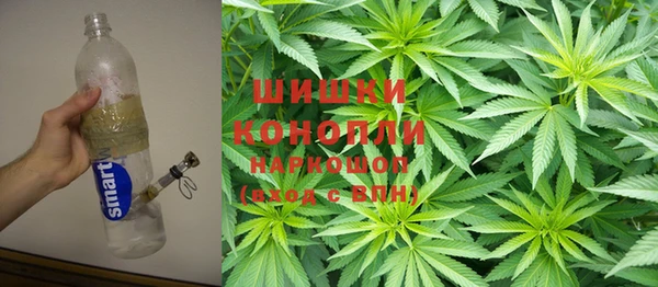 эйфоретик Заполярный