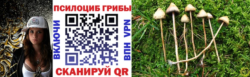 Галлюциногенные грибы MAGIC MUSHROOMS  Торопец 